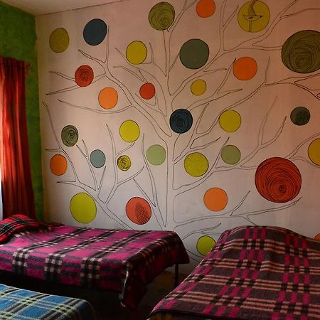 Chill Hostel Mexico City Phòng bức ảnh